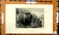 Original Old Antique Print View Blackgang Chine Cliffs Rocks Bartlett Tingle