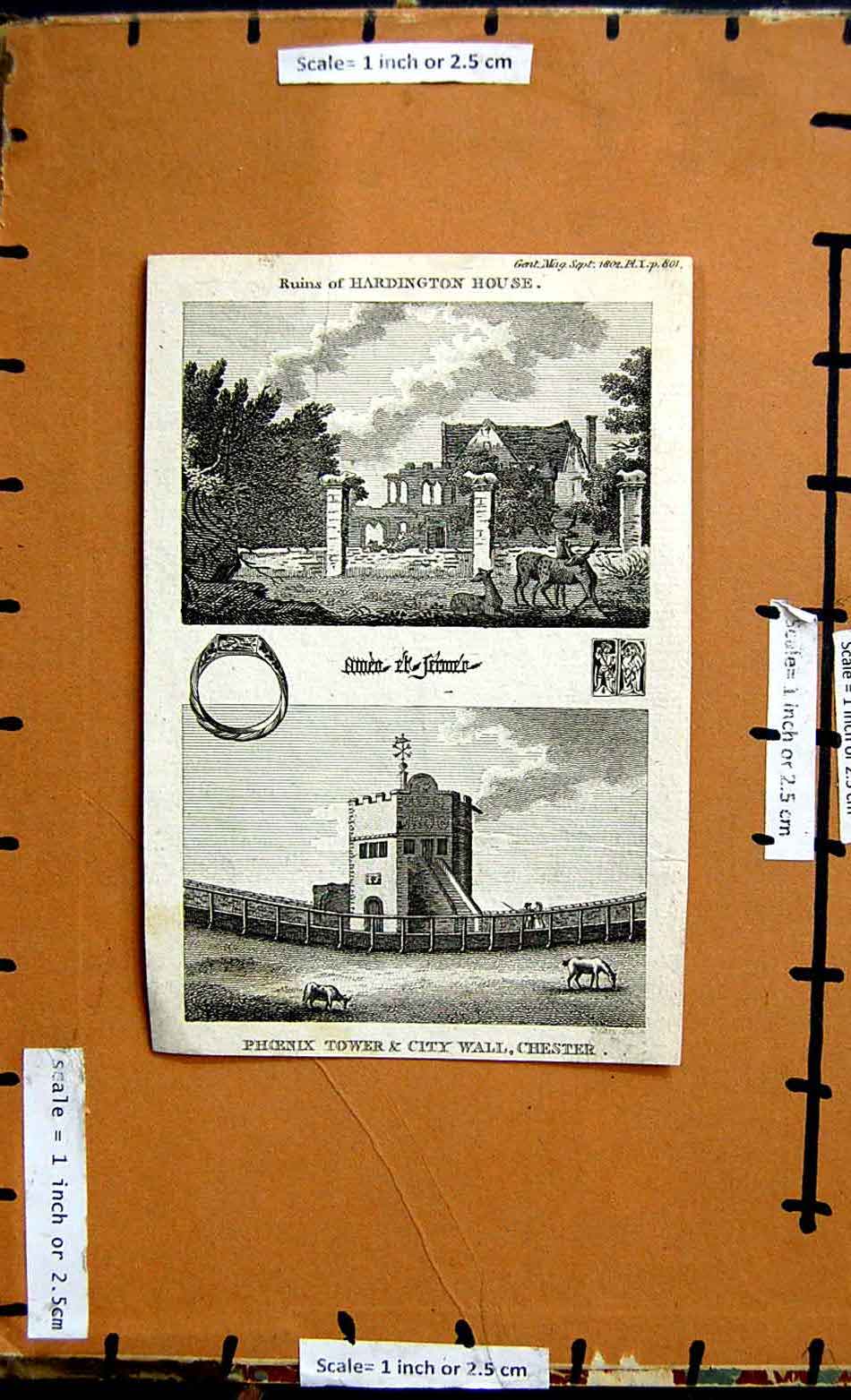 Old Antique Print 1802 View Ruins Hardington House Phoenix Tower Chester 19th