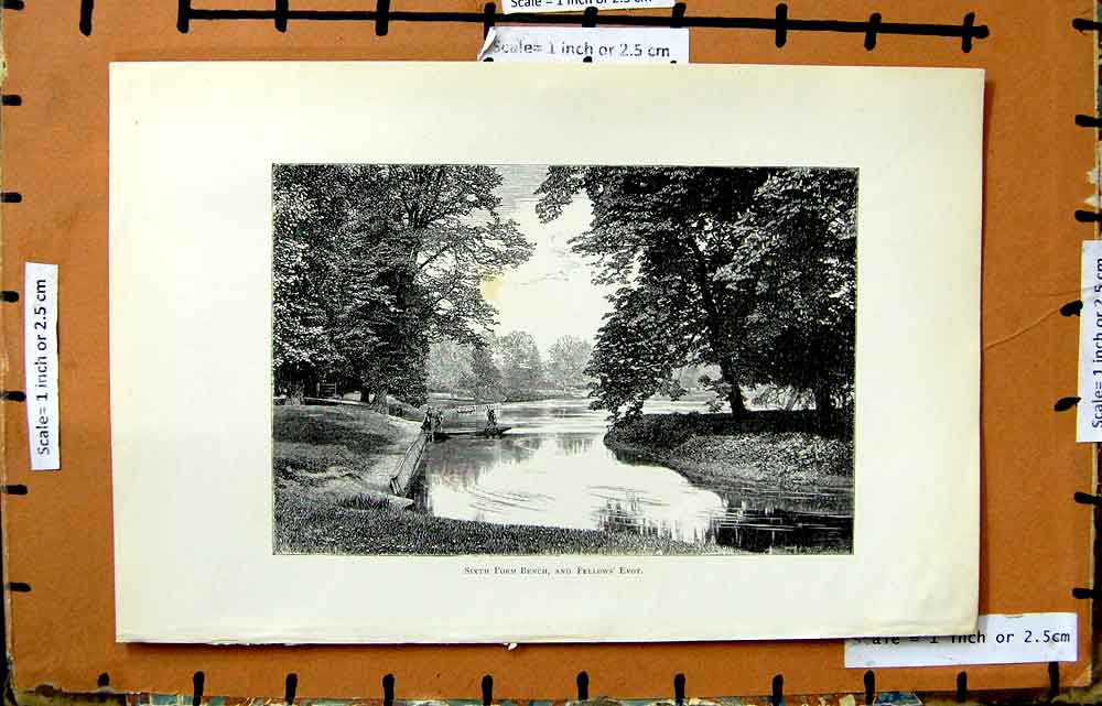 Original Old Antique Print Sixth Form Bench Fellows Evot River Trees