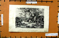 Original Old Antique Print Scene Royal Chase Windsor Forest Trees London