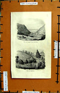 Original Old Antique Print Gras Van Napoleon Backer Longwood Jamestown