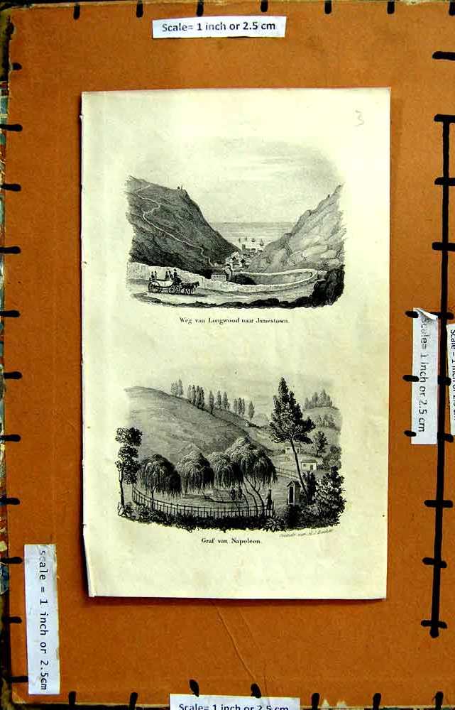 Original Old Antique Print Gras Van Napoleon Backer Longwood Jamestown