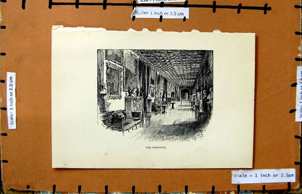 Original Old Antique Print Interior Corridor Art Paintings Busts