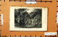 Original Old Antique Print Pickering Finden Thrutck Rochdale Trees Engraving