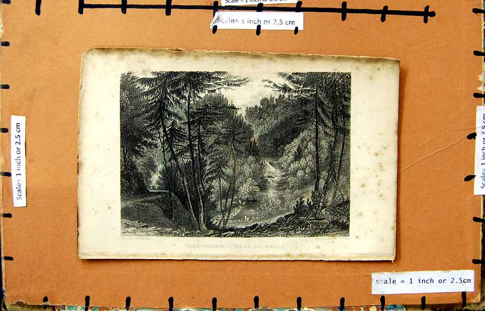 Original Old Antique Print Pickering Finden Thrutck Rochdale Trees Engraving