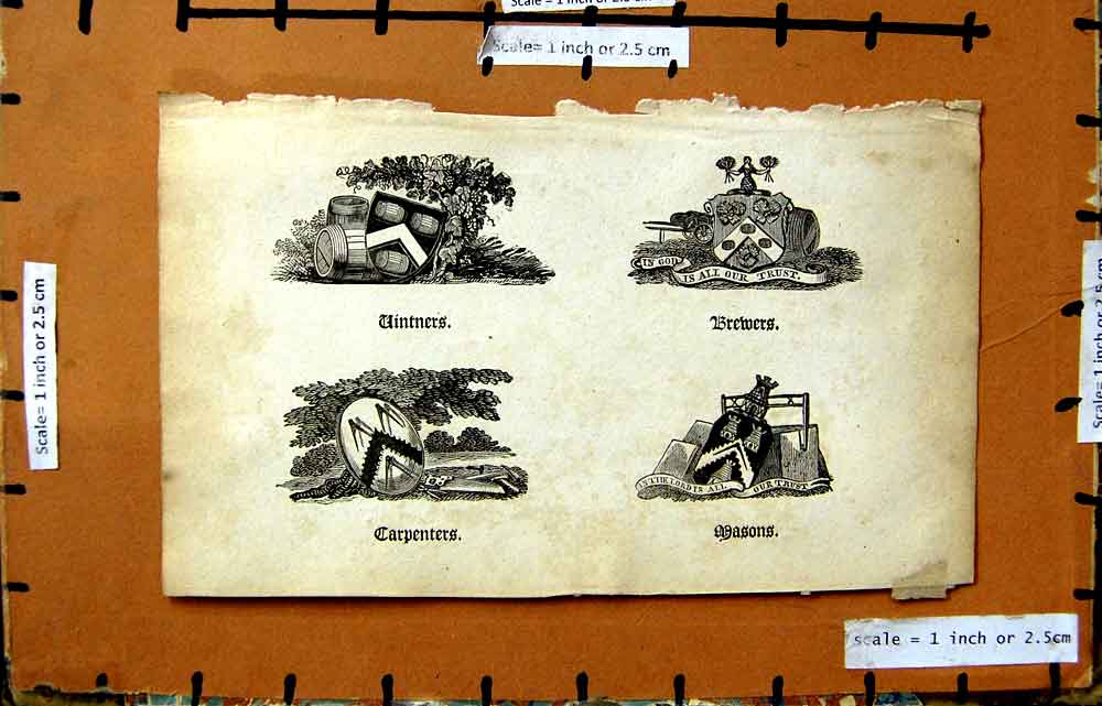 Original Old Antique Print Coat Arms Vintners Brewers Carpenters Masons