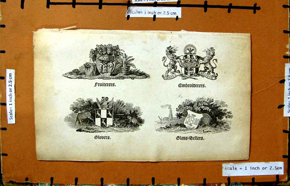 Old Antique Print Coat Arms Fruiterers Embroiderers Glovers Glass Seller