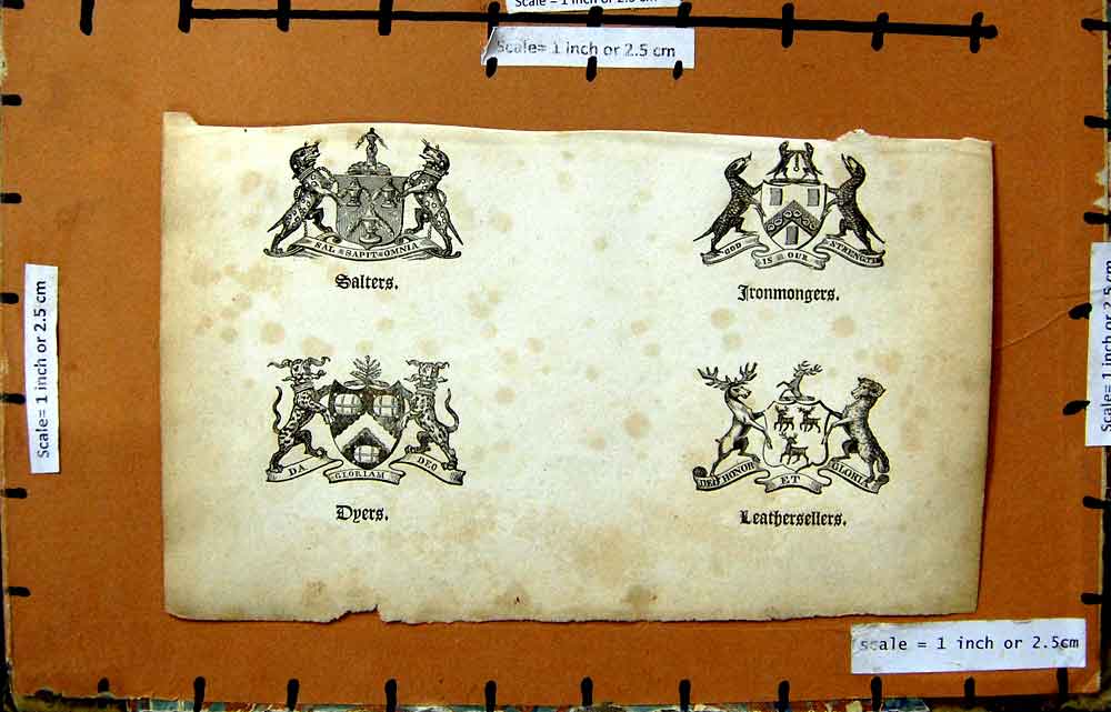 Original Old Antique Print Coat Arms Salters Ironmongers Leathersellers