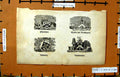 Original Old Antique Print Coat Arms Plumbers Blacksmiths Bricklayers