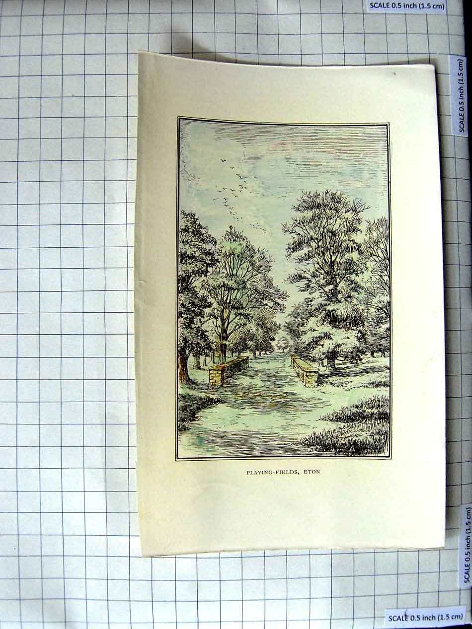 Original Old Antique Print View Playing Fields Eton Trees Birds
