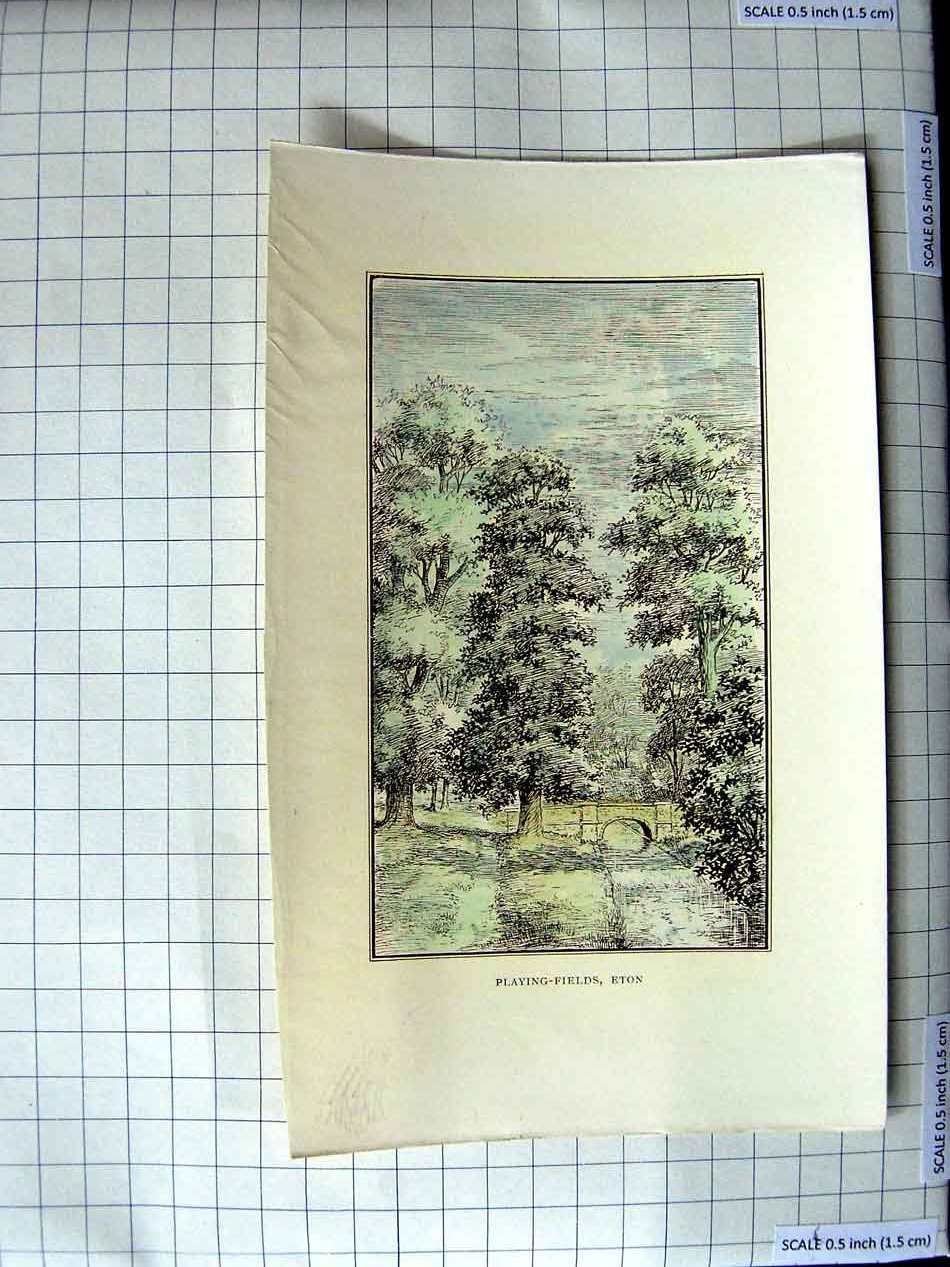 Original Old Antique Print View Playing Fields Eton Trees Bridge