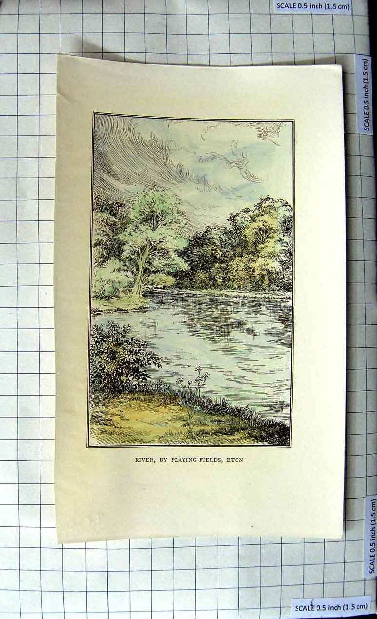 Original Old Antique Print View River Playing Fields Eton Trees