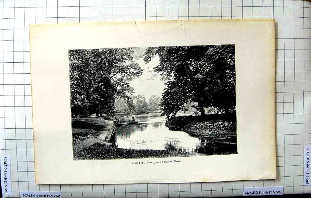 Original Old Antique Print Sixth Form Bench Fellow'S Eyot River