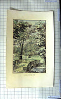 Original Old Antique Print View Playing Fields Eton River Bridge