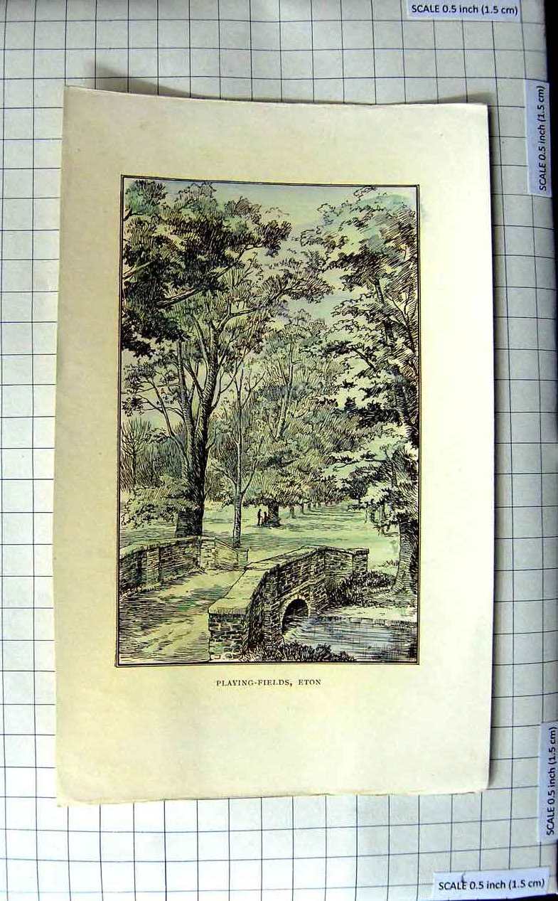 Original Old Antique Print View Playing Fields Eton River Bridge