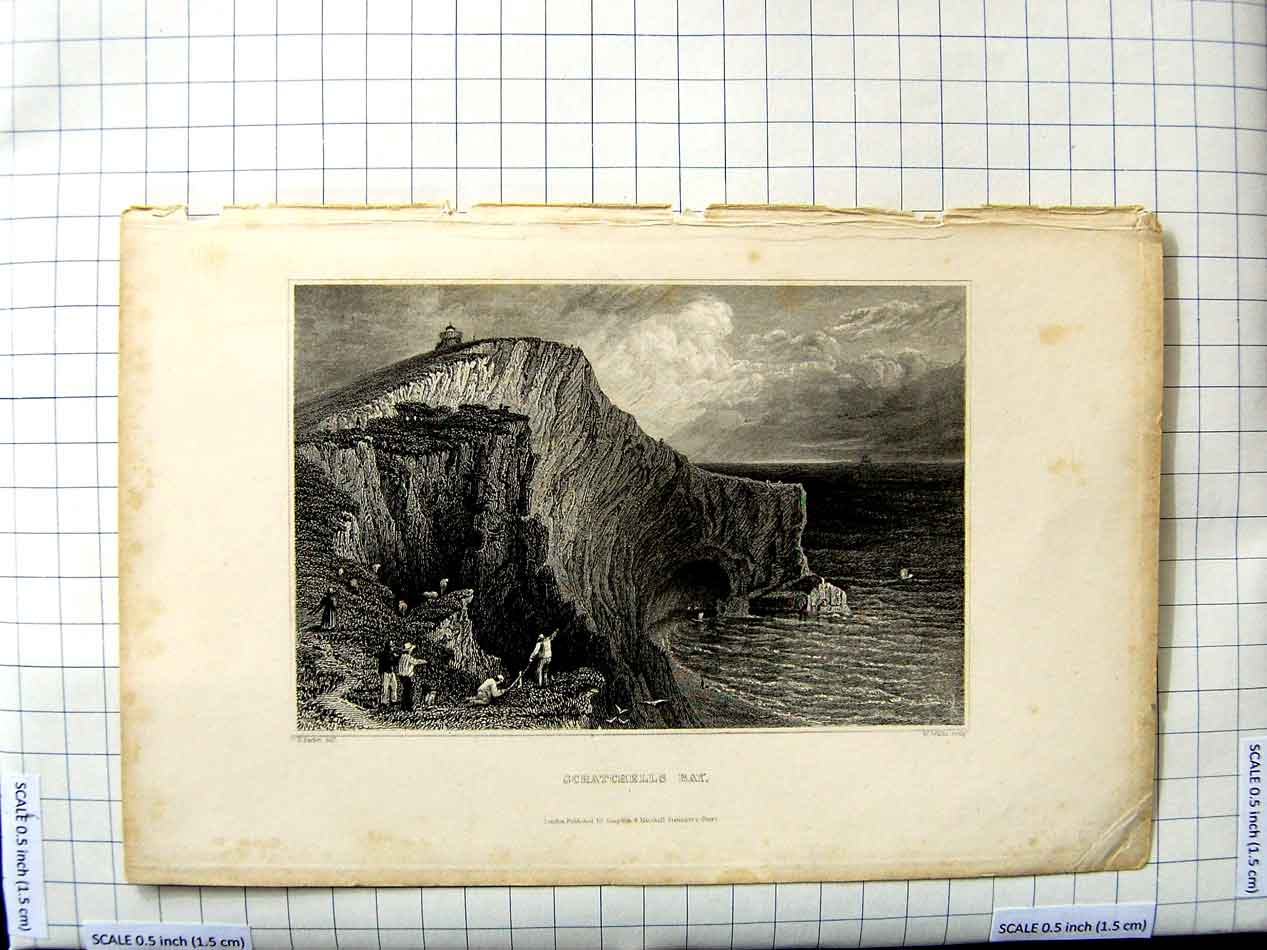Original Old Antique Print Scatchells Bay Cliffs Sea Wallis Bartlett Engraving