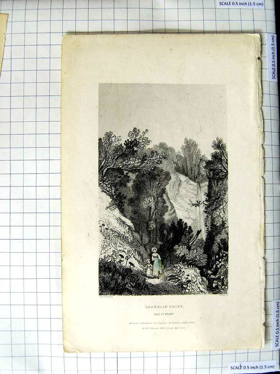 Original Old Antique Print Engraving View Shanklin Chine Isle Wight
