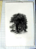 Original Old Antique Print Engraving View Forest Glade Trees River People