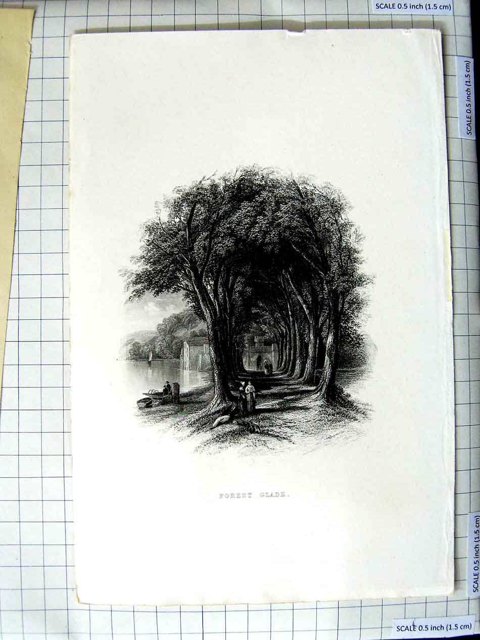 Original Old Antique Print Engraving View Forest Glade Trees River People