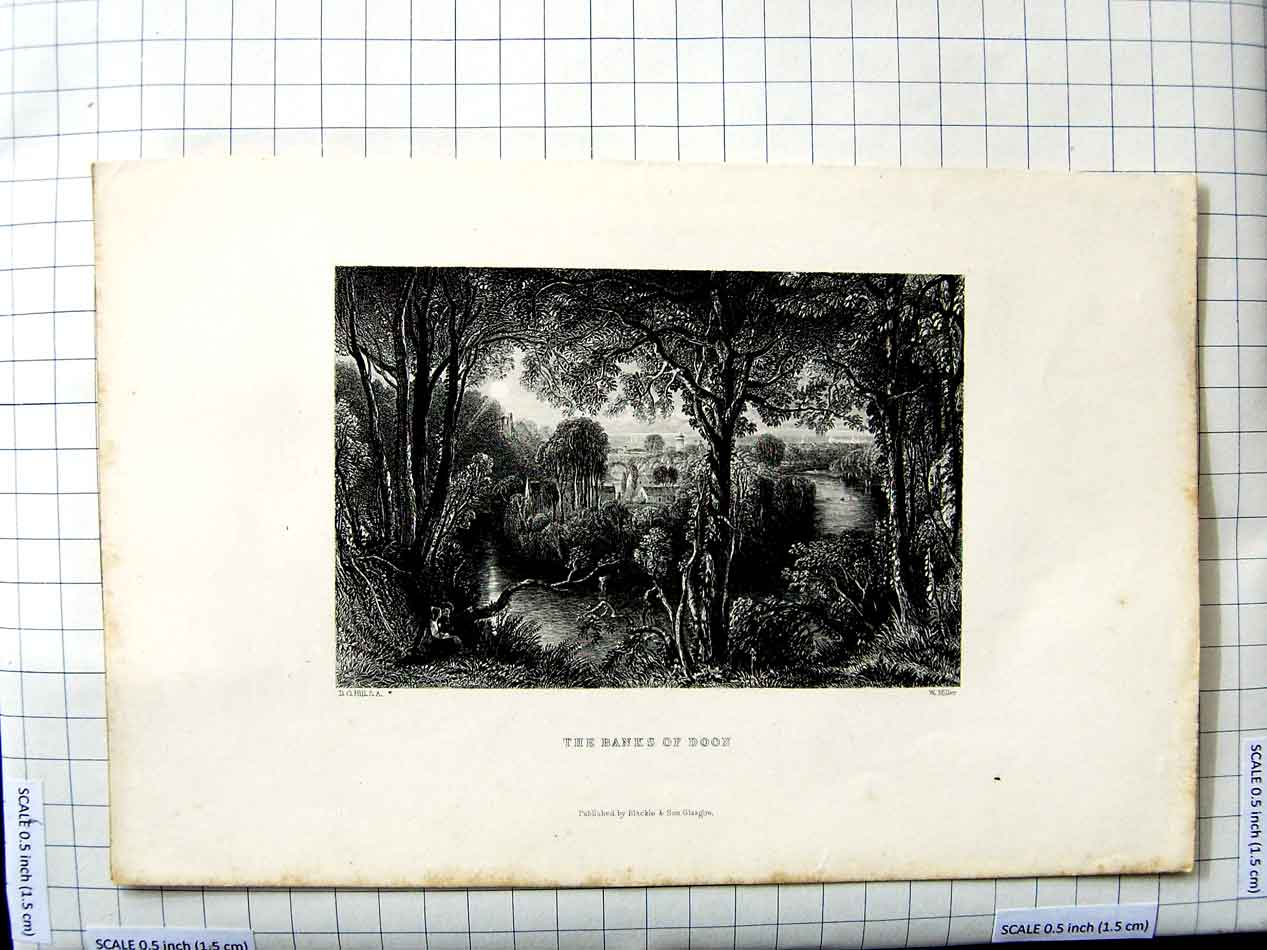 Original Old Antique Print Hill Miller Engraving View Banks River Donn Trees