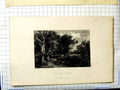 Original Old Antique Print View Cadgon Forest Lanarkshire Scotland Culloch