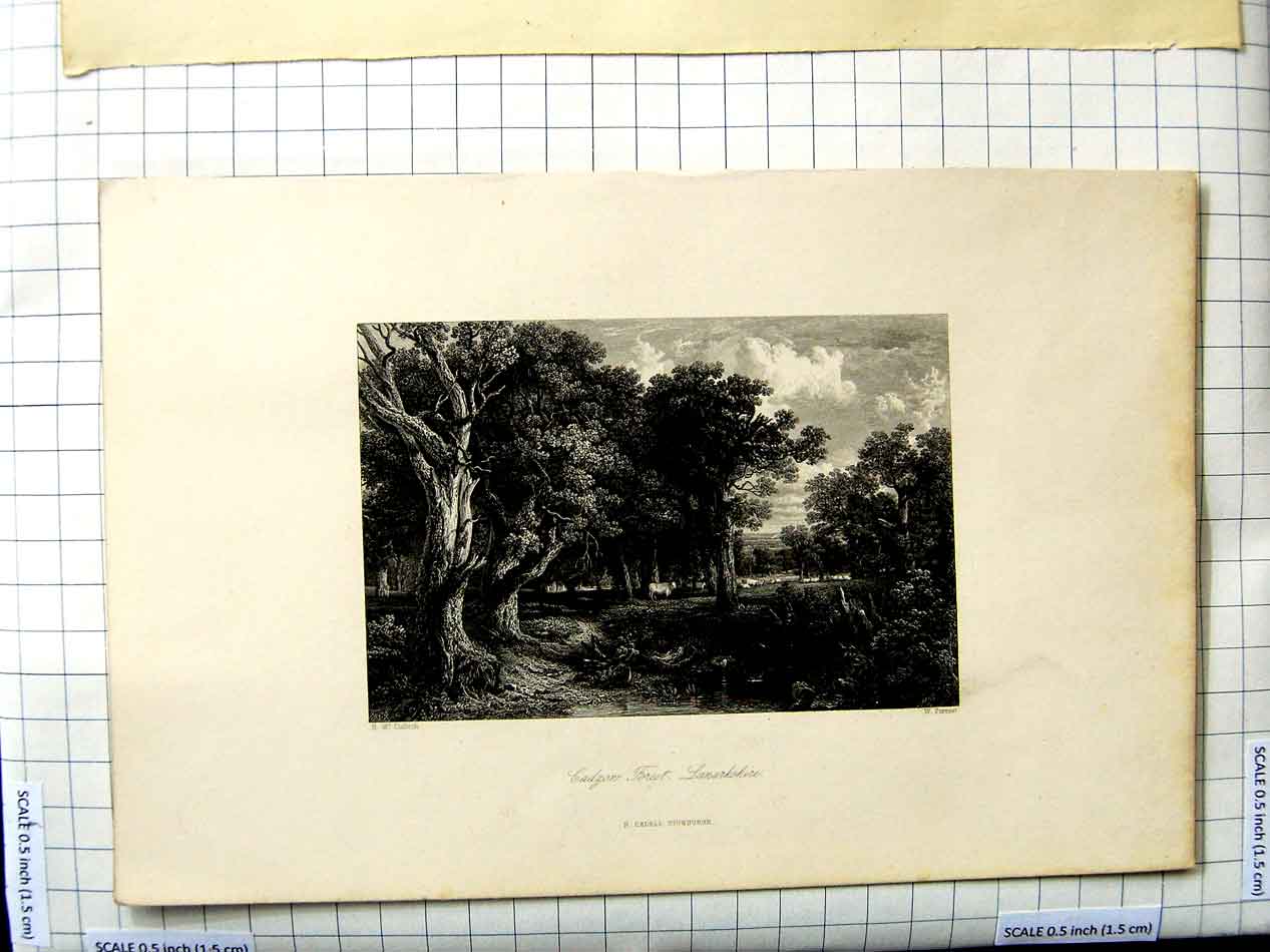 Original Old Antique Print View Cadgon Forest Lanarkshire Scotland Culloch