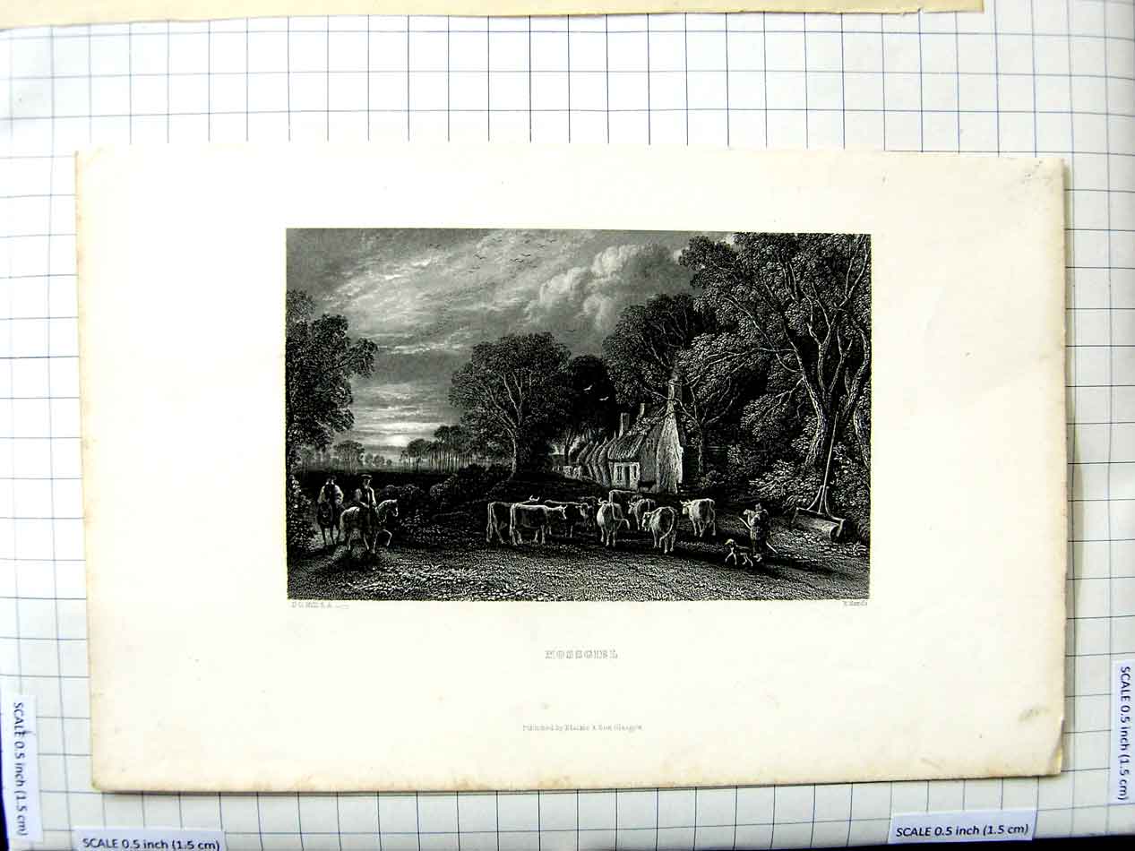Original Old Antique Print Engraving Hill Sands View Mossgiel Trees Cows