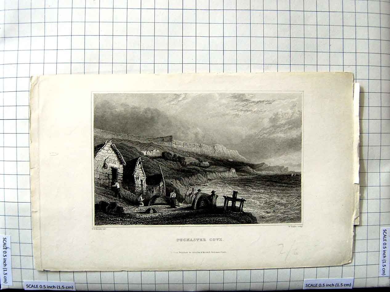 Original Old Antique Print View Puckaster Cove Fishermen Houses Bartlett Wallis