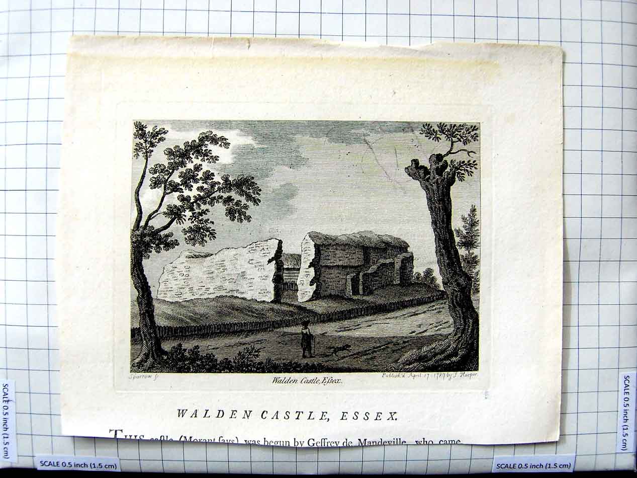 Original Old Antique Print 1787 Sparrow Hooper Engraving Walden Castle Essex