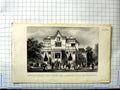 Original Old Antique Print Zomerlokaal Der Russische Handelsclub Te Petersburg