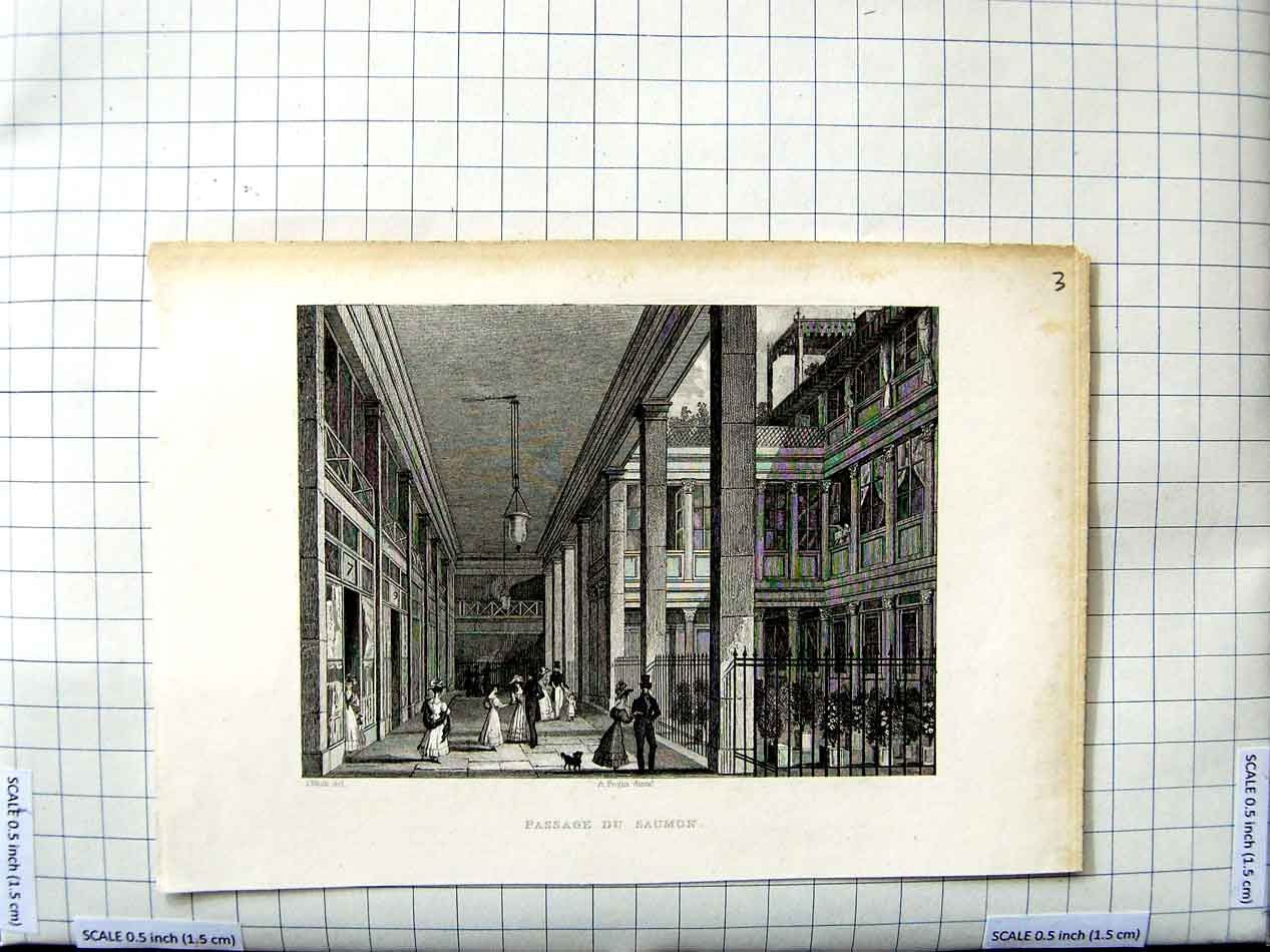 Original Old Antique Print Nash Pugin Engraving View Passage Du Saumon People