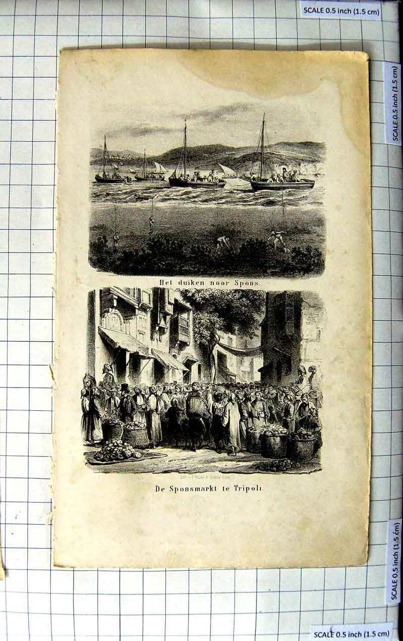Original Old Antique Print De Sponsmarkt Te Tripoli Het Duiken Naar Spons Boats
