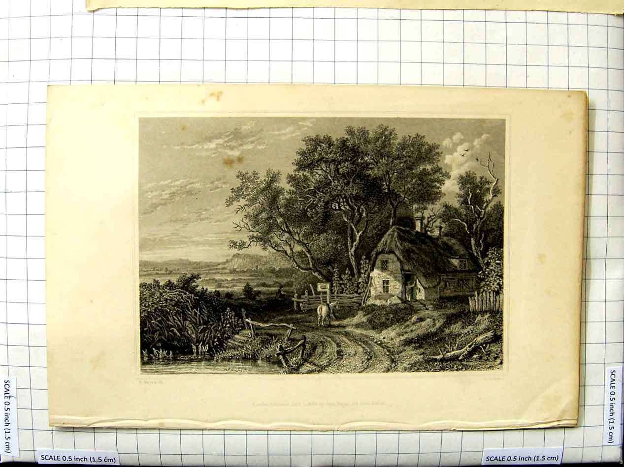 Old Antique Print 1834 Naysmith Engraving Country House Trees Lake Horse 19th