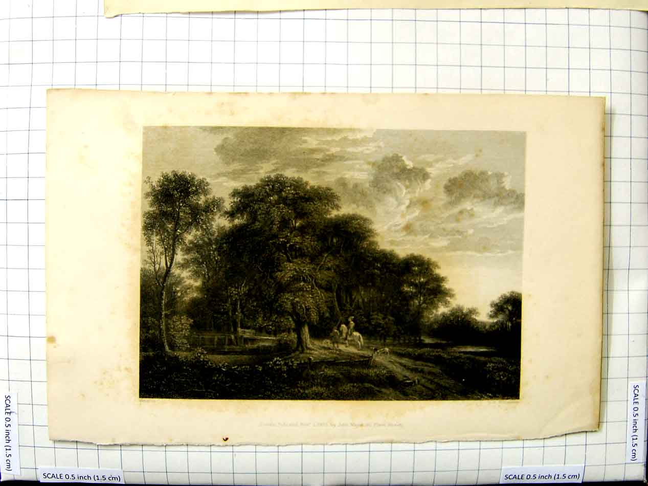 Original Old Antique Print 1833 Richardson Waterloo Engraving Trees River Scene