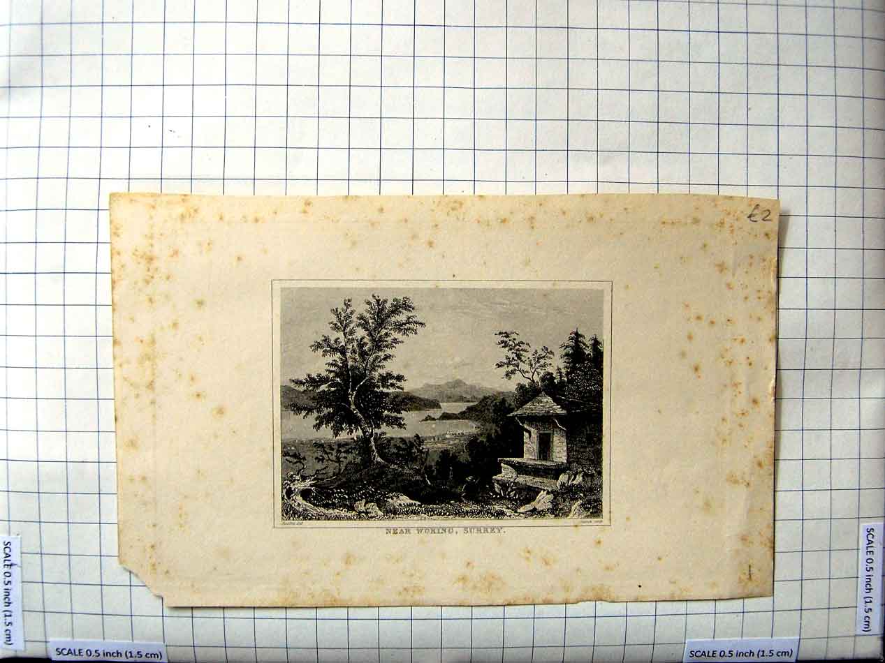 Original Old Antique Print View Near Woking Surrey Mountains Trees Engraving