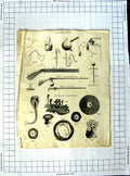 Original Old Antique Print Aerology Air Gun Animal Flowers Nature C1790-C1900