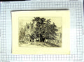 Original Old Antique Print Etching View Church Graves Churchyard Tree Victorian