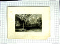 Original Old Antique Print Bartlett Walis View Glenmary Lawn Owago Countryside