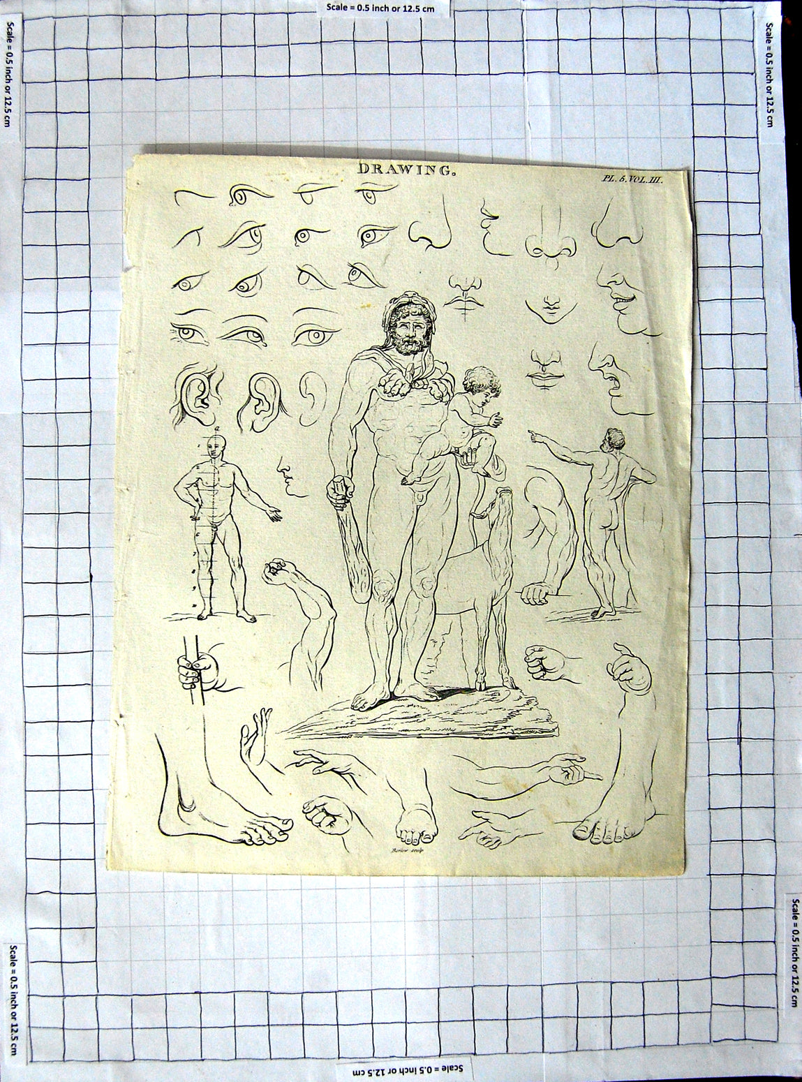 Original Old Antique Print Encyclopaedia Britannica Drawings Human Body Parts
