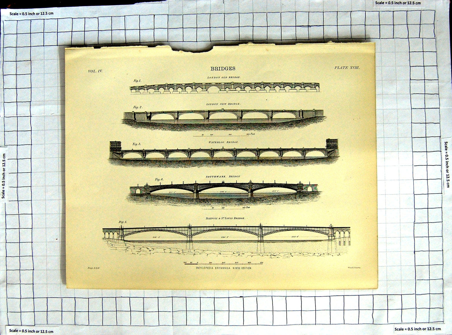 Original Old Antique Print Encyclopaedia Britannica Antelope Ghau Gnu Chickara