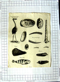 Old Antique Print Encyclopaedia Britannica Pneumatics Instruments Machine