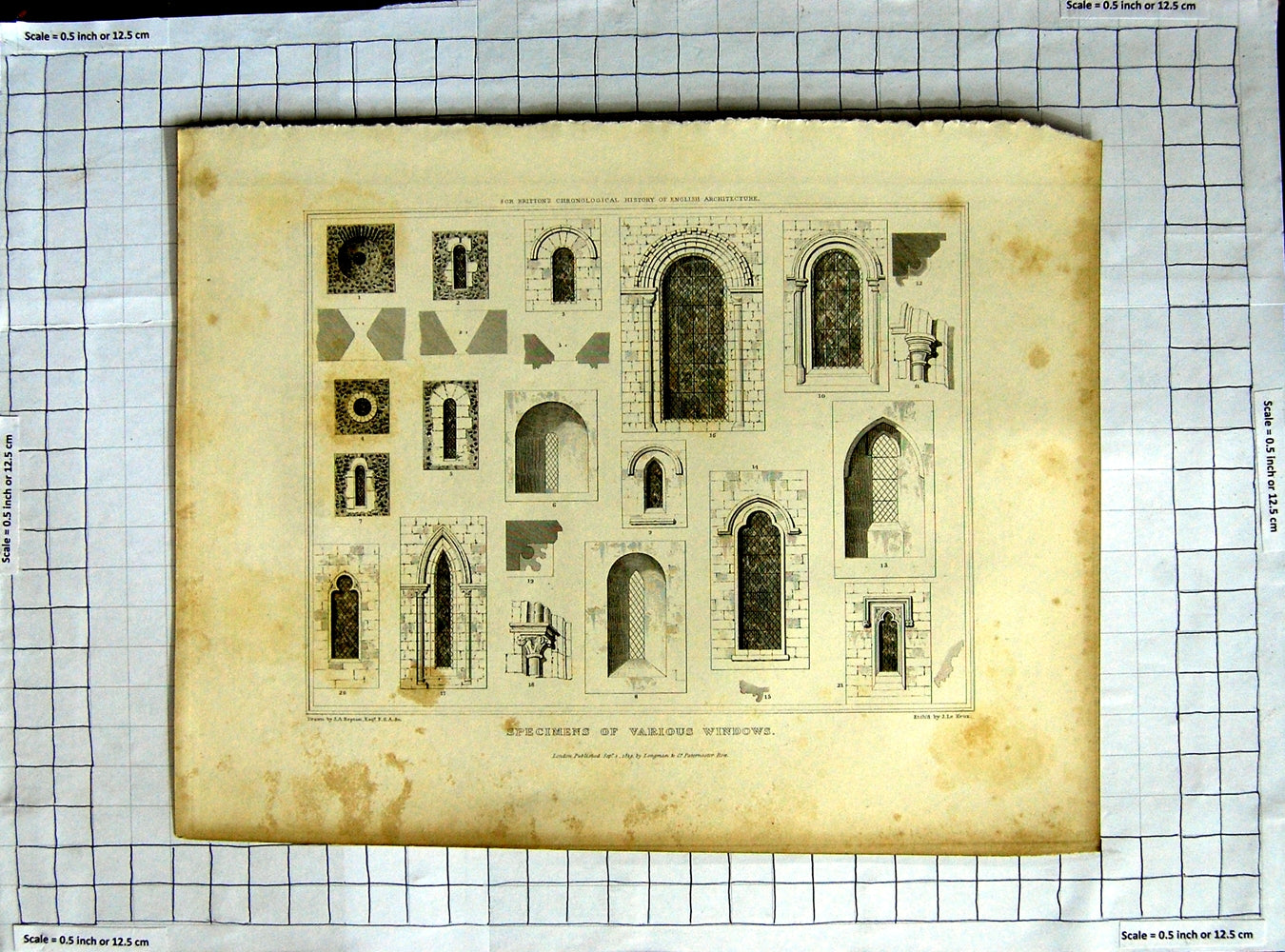 Old Antique Print 1819 Specimens Windows English Architecture Repton Keux 19th