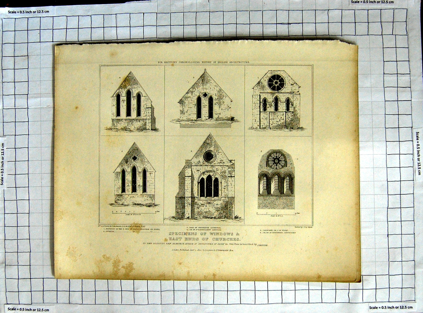 Original Old Antique Print 1820 Windows Churches Chichester Cathedral Mackenzie