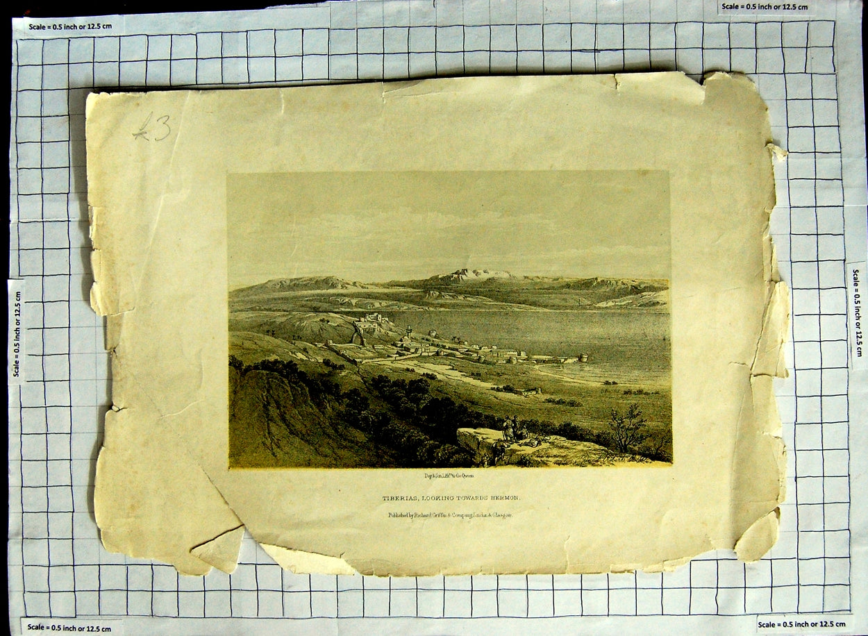 Original Old Antique Print View Tiberias Looking Towards Hermon Richard Griffin