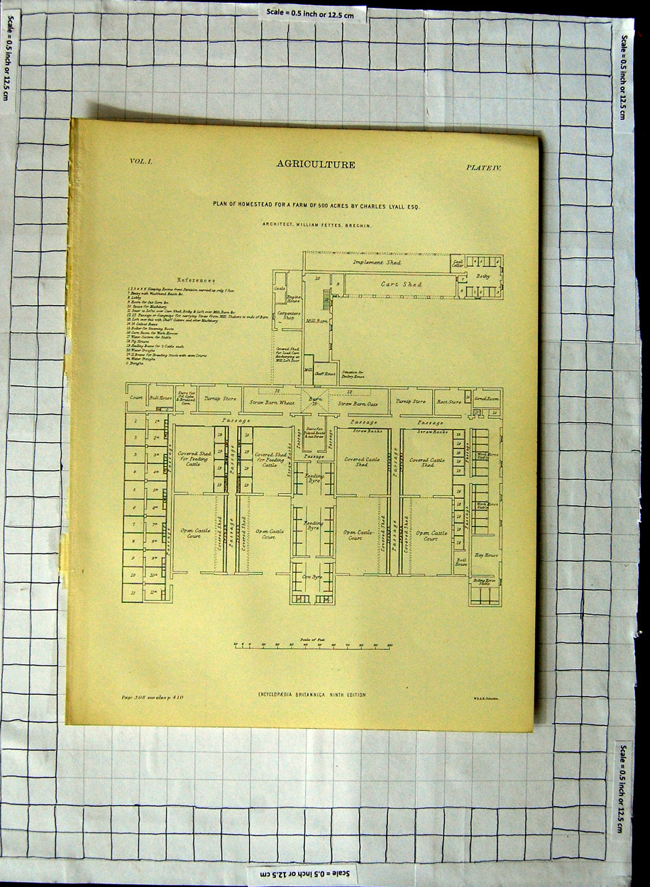 Original Old Antique Print Agriculture Plan Homestead Farm Charles Lyall Fettes