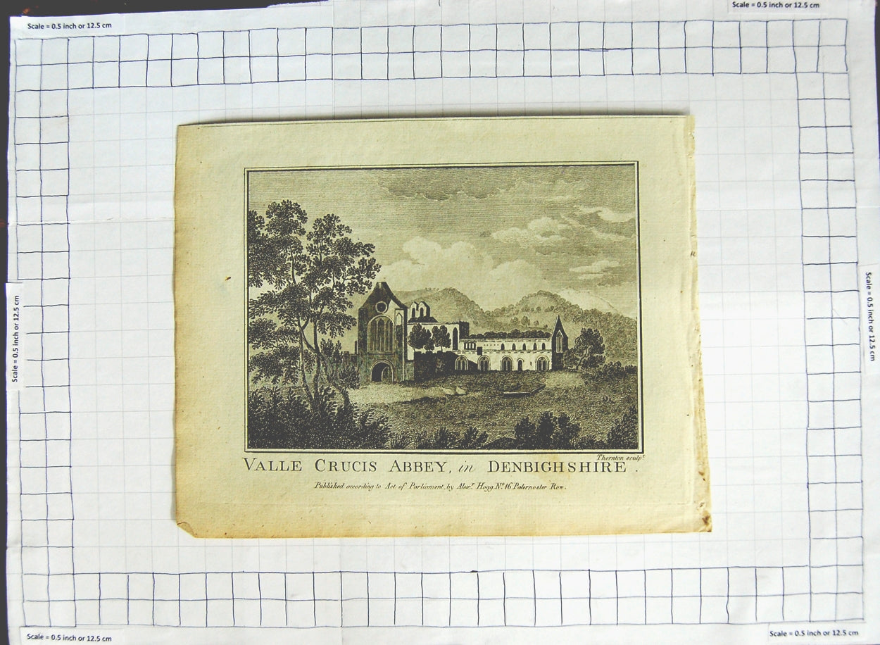 Original Old Antique Print View Valle Crucus Abbey Denbighshire Thornton
