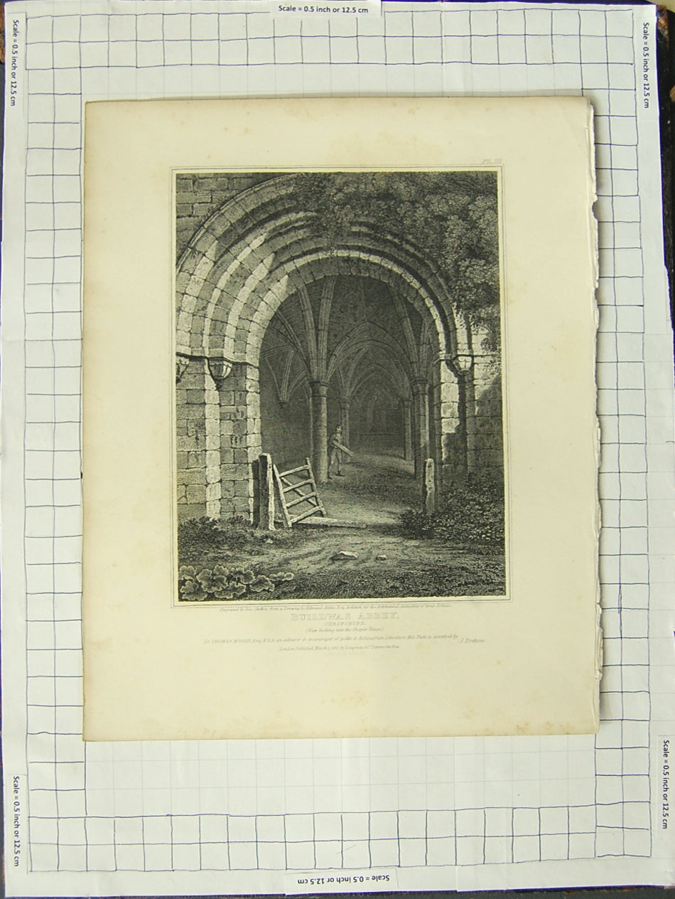 Original Old Antique Print 1813 Buildwas Abbey Shropshire Sketton Aikin Artist