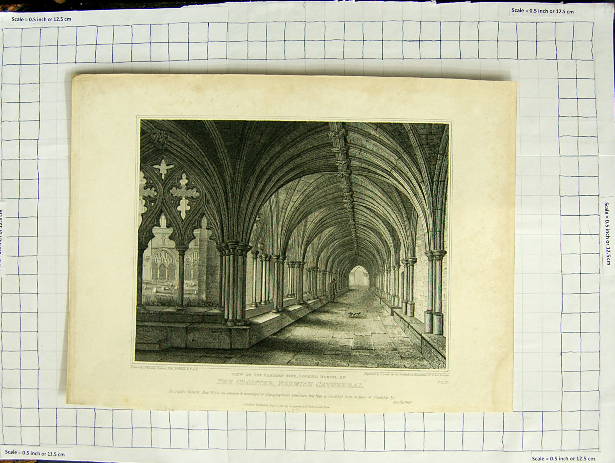 Original Old Antique Print 1811 Cloisters Norwich Cathedral Repton Lacey 19th