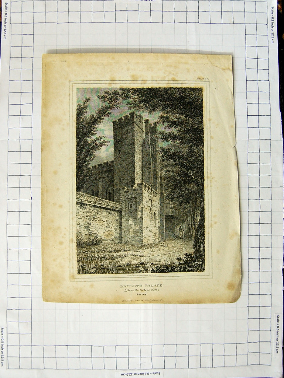 Original Old Antique Print 1800 Bishop'S Walk Lambeth Palace Surrey Craig 19th