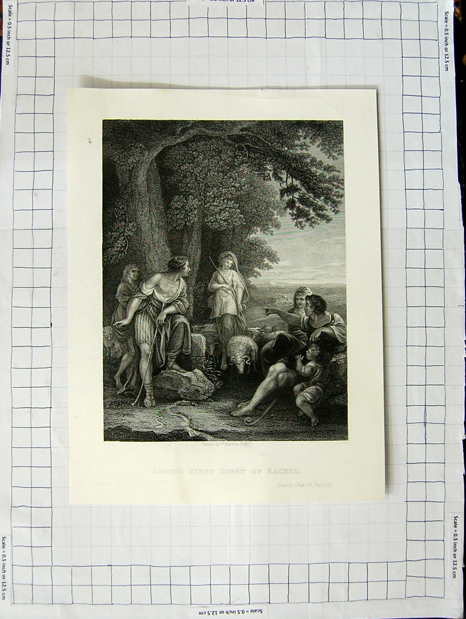 Original Old Antique Print Scene Jacob'S First Sight Rachel Hamilton Engraving